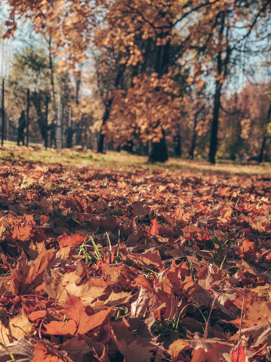 Глубокая осень