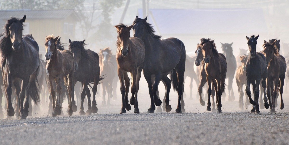 Источник: Fotokto.ru