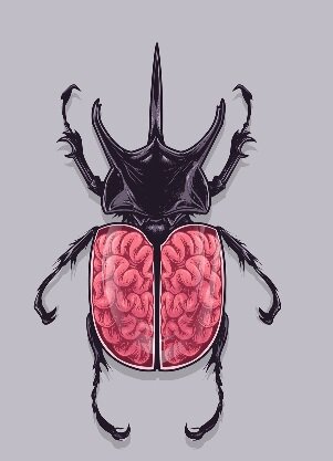 Прокачивай мозг!