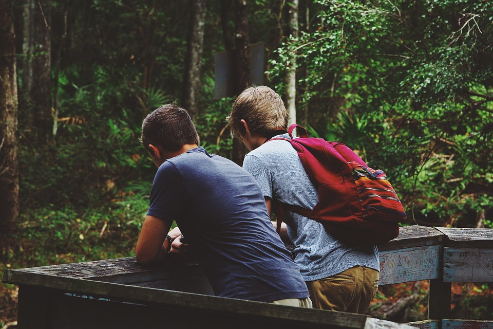 Фото: pixabay.com