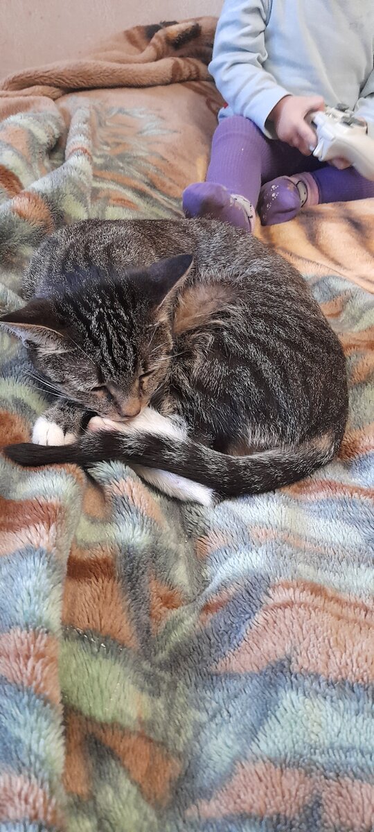 Мурка и Рома 