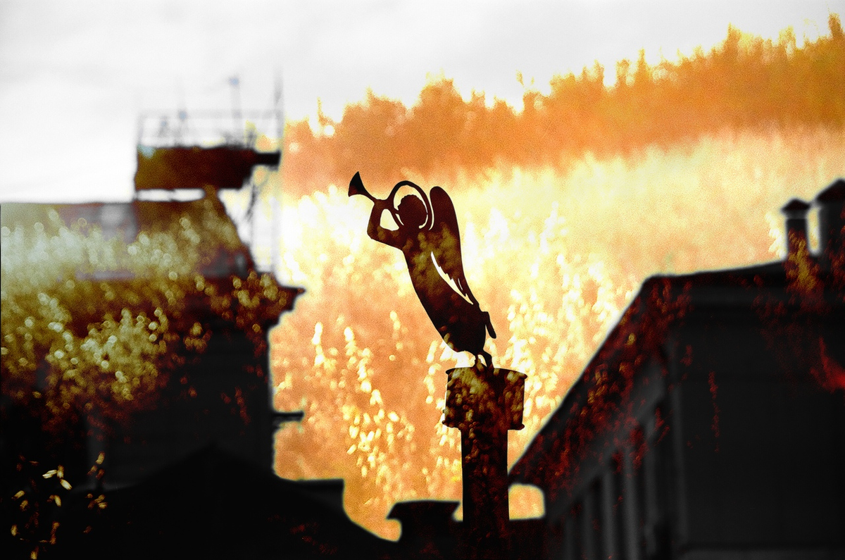 фото: #алексей тихонов