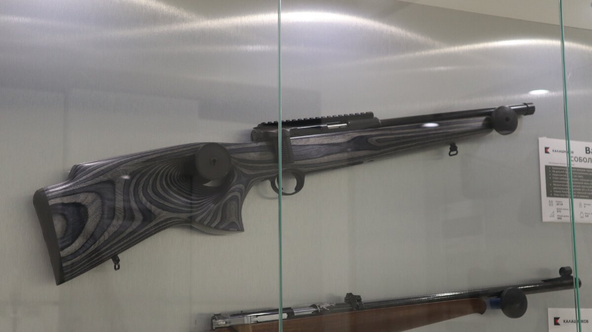 Компактная версия сразу привлекает внимание | Русский ОРУЖЕЙНИК, 2020