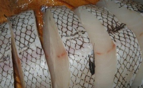 Рыба макрурус. 