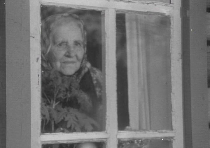 Фото из свободного источника