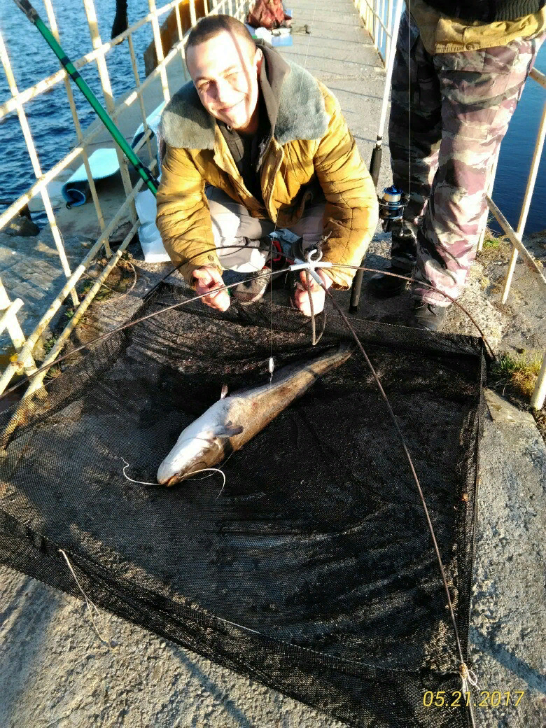 Ловим на мосту через канал. И достать рыбу можно только подъёмником.