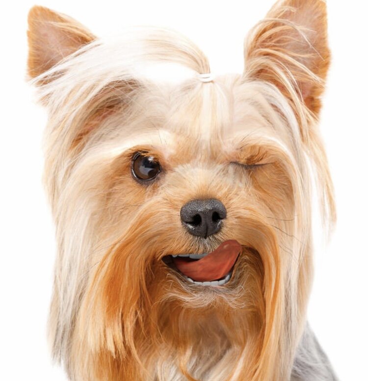  Кадр из видео в Instagram.