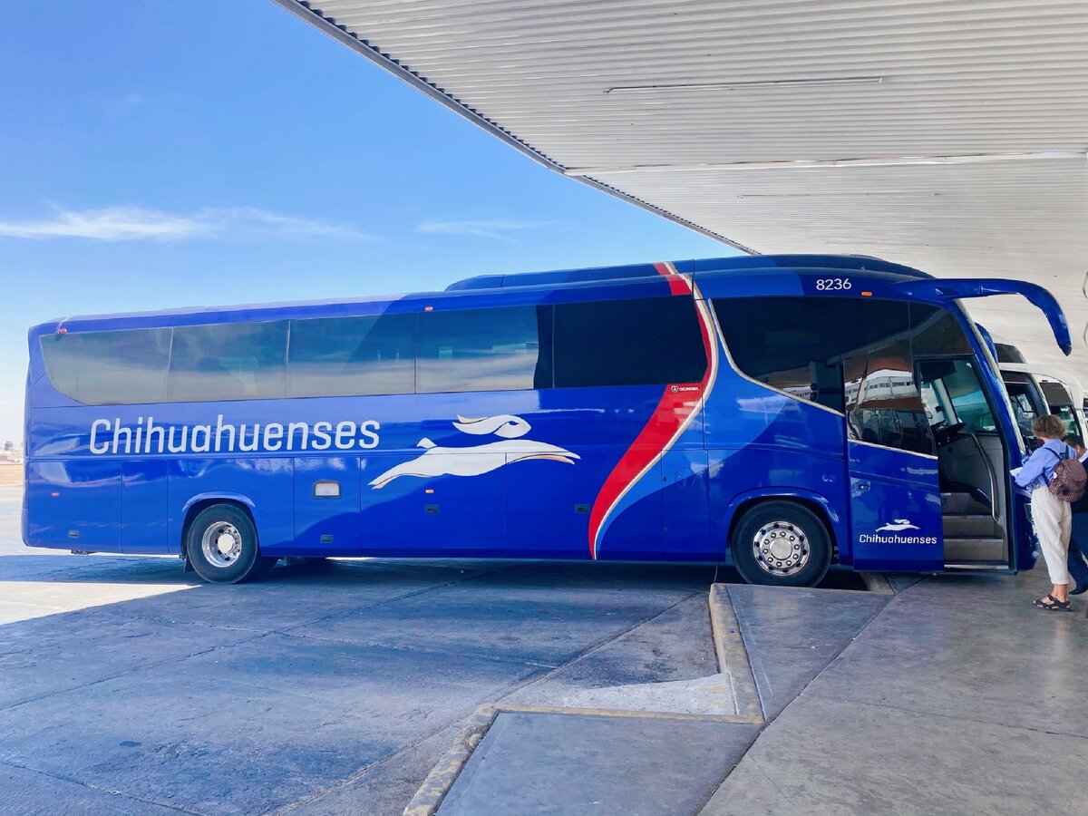 Автобус Chihuahuetes