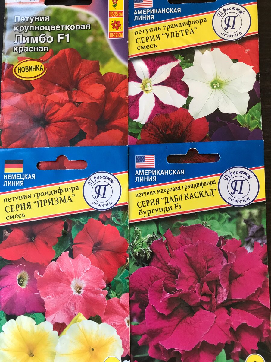 14 февраля я посеяла 4 сорта петунии: махровую "Дабл каскад", крупноцветковые "Ультра", "Призм" и "Лимбо".