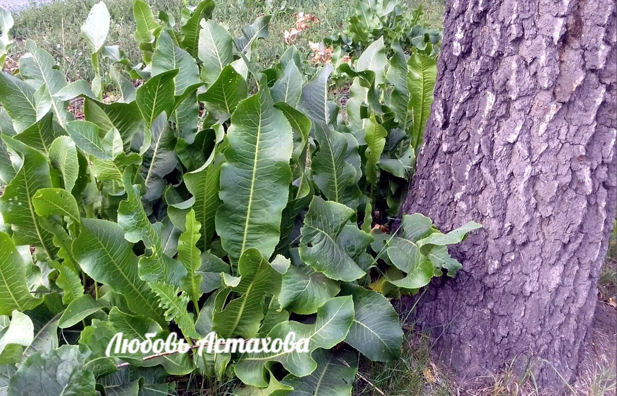 Удерживая внешние проявления реальности, мы всегда остаёмся ни с чем. 