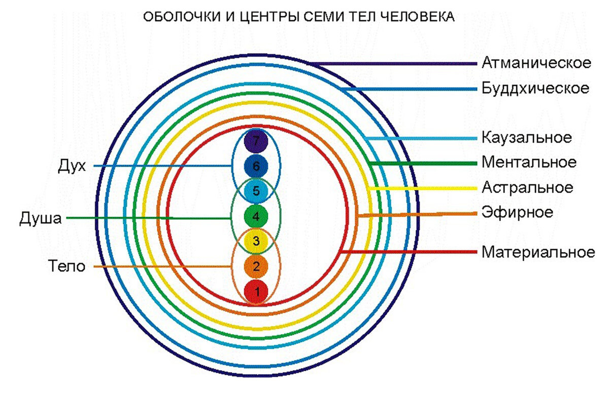 7 тел человека фото