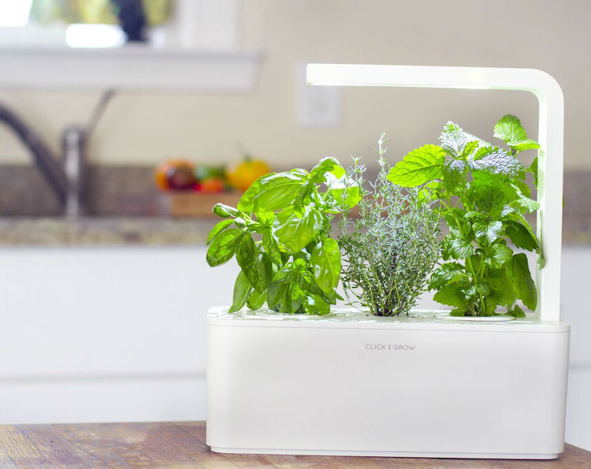 Разработка Click and Grow Smart Garden