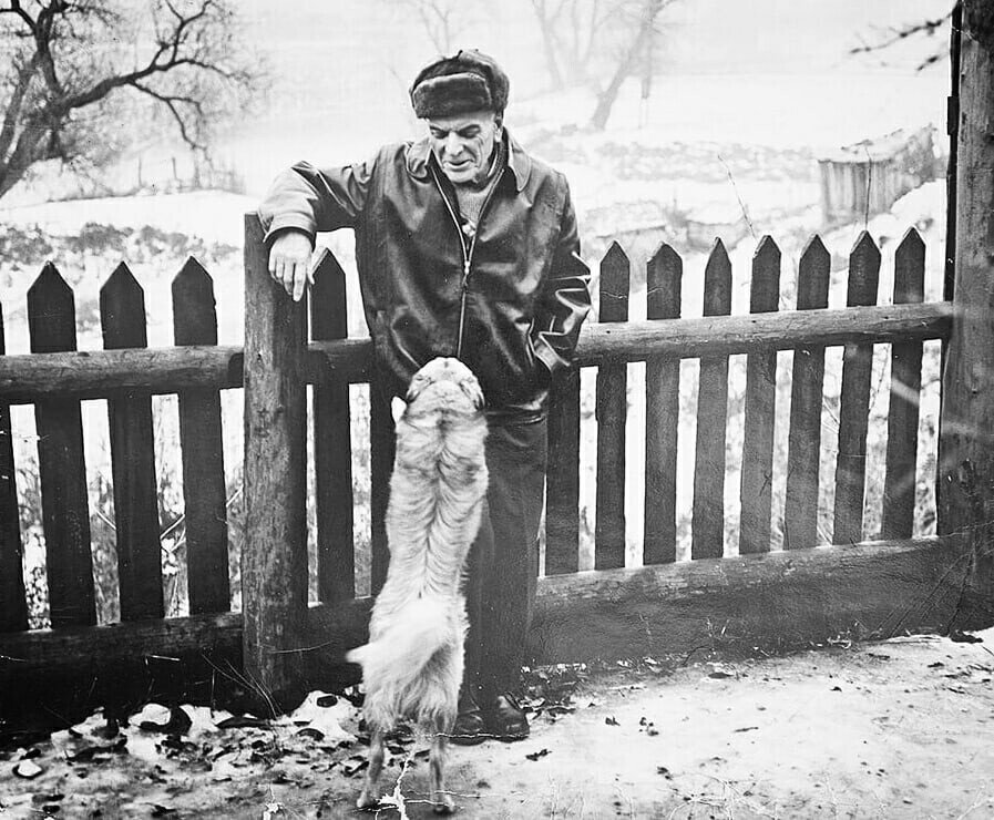 У писателя Александра Степановича Грина был в тихом Старом Крыму невзрачный пёсик-дворняга Тобик. Пёсика этого вся улица, где жил Грин, несправедливо считала дураком.