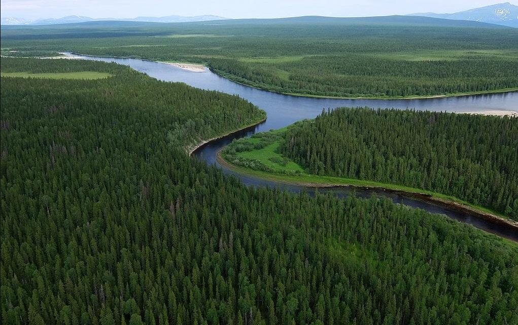 Бескрайние просторы Дубчес - притока Енисея. Фото их открытых источников