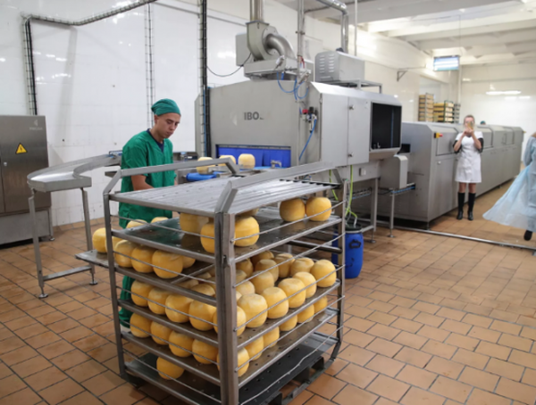 Семикаракорский комбинат. Бондарский сыродельный завод директор. Семикаракорский сыродельный завод. Семикаракорский сыродельный завод. Г семикаракорск сыродельный завод.