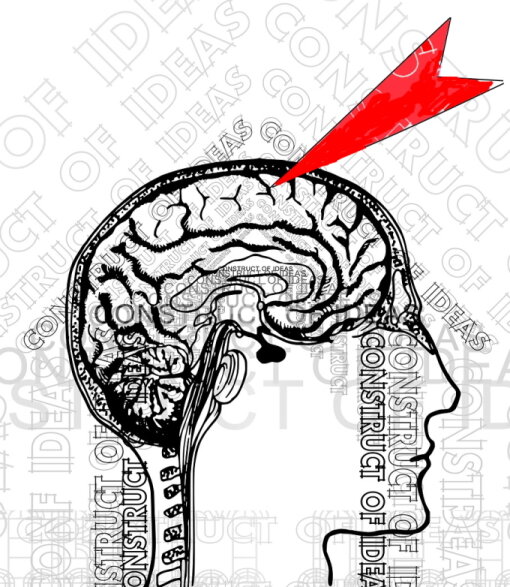 Источник pixabay.com