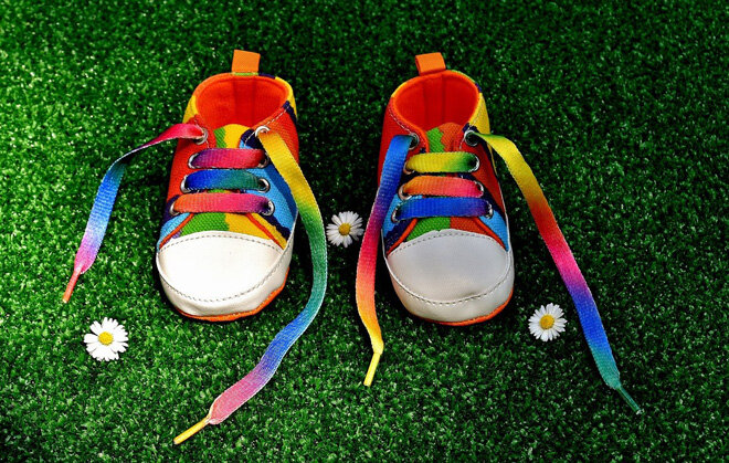 Фото: pixabay.com