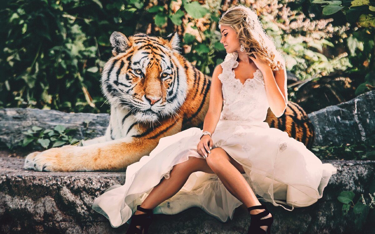 Изображение с сайта goodfon.ru