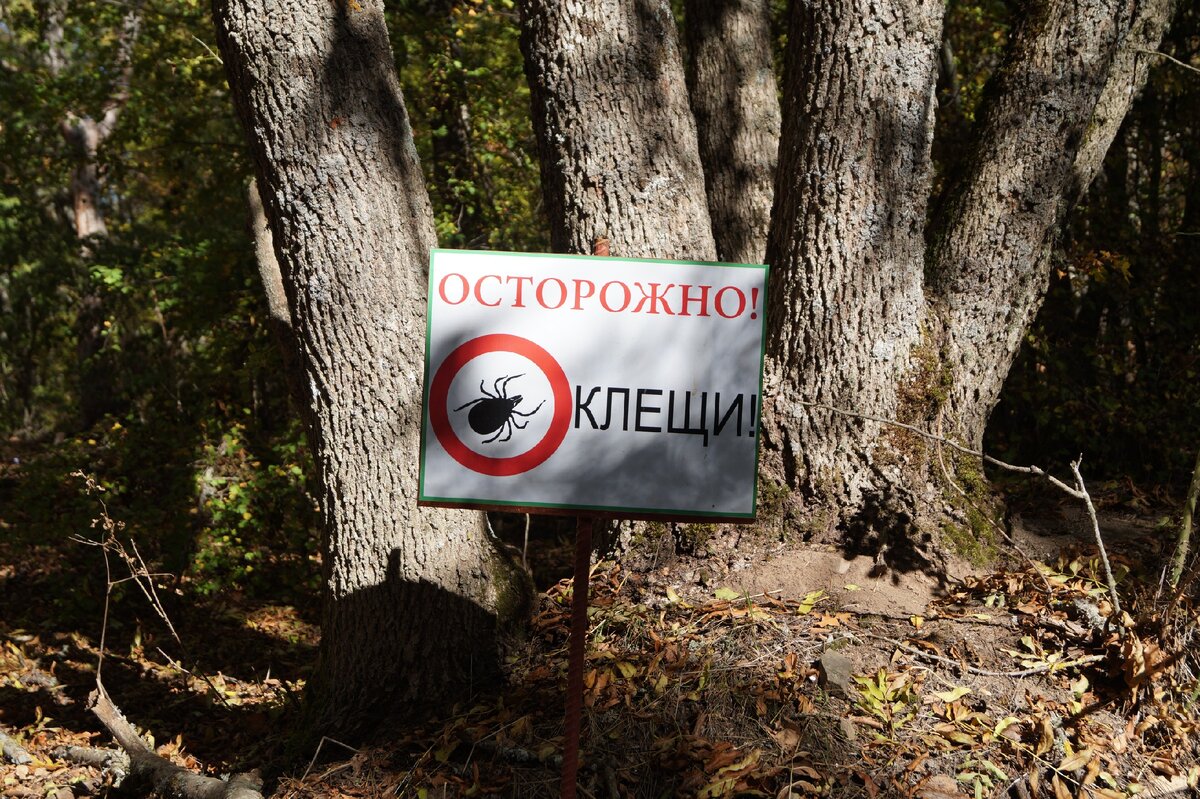 Предупреждён — значит вооружён (фото: А. Олейник)