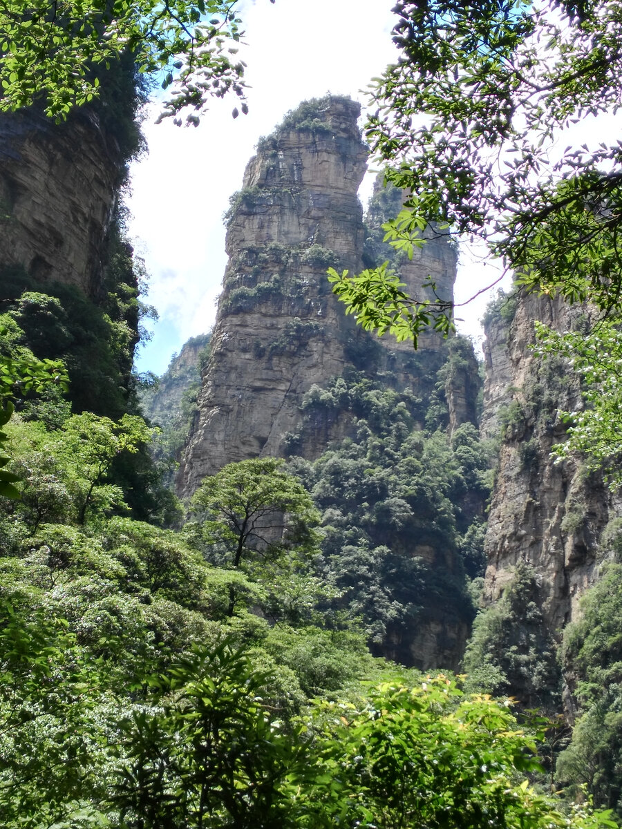 Национальный парк Чжанцзяцзе, Китай (фото из личного архива)