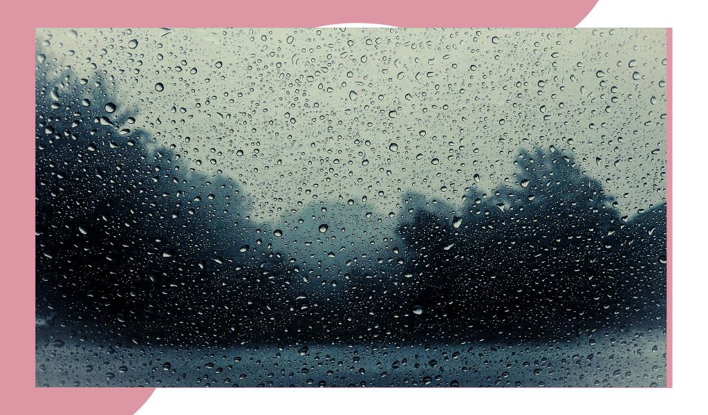 Фотография из открытых источников