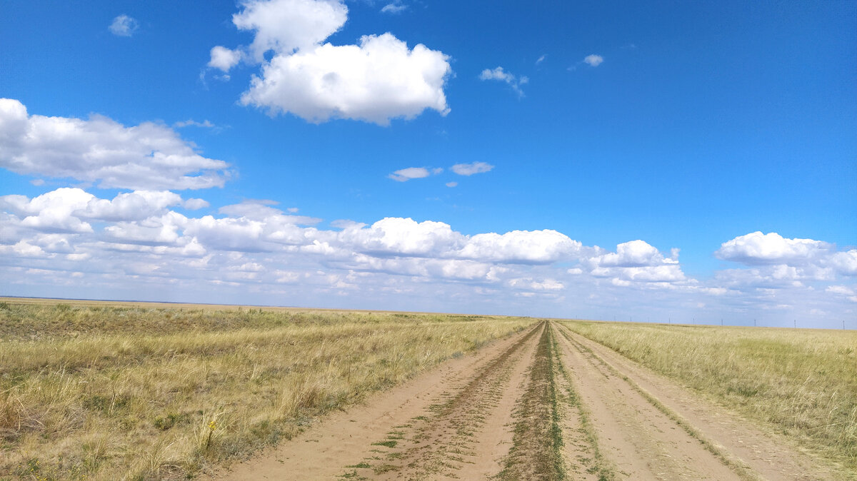 Бескрайняя степь