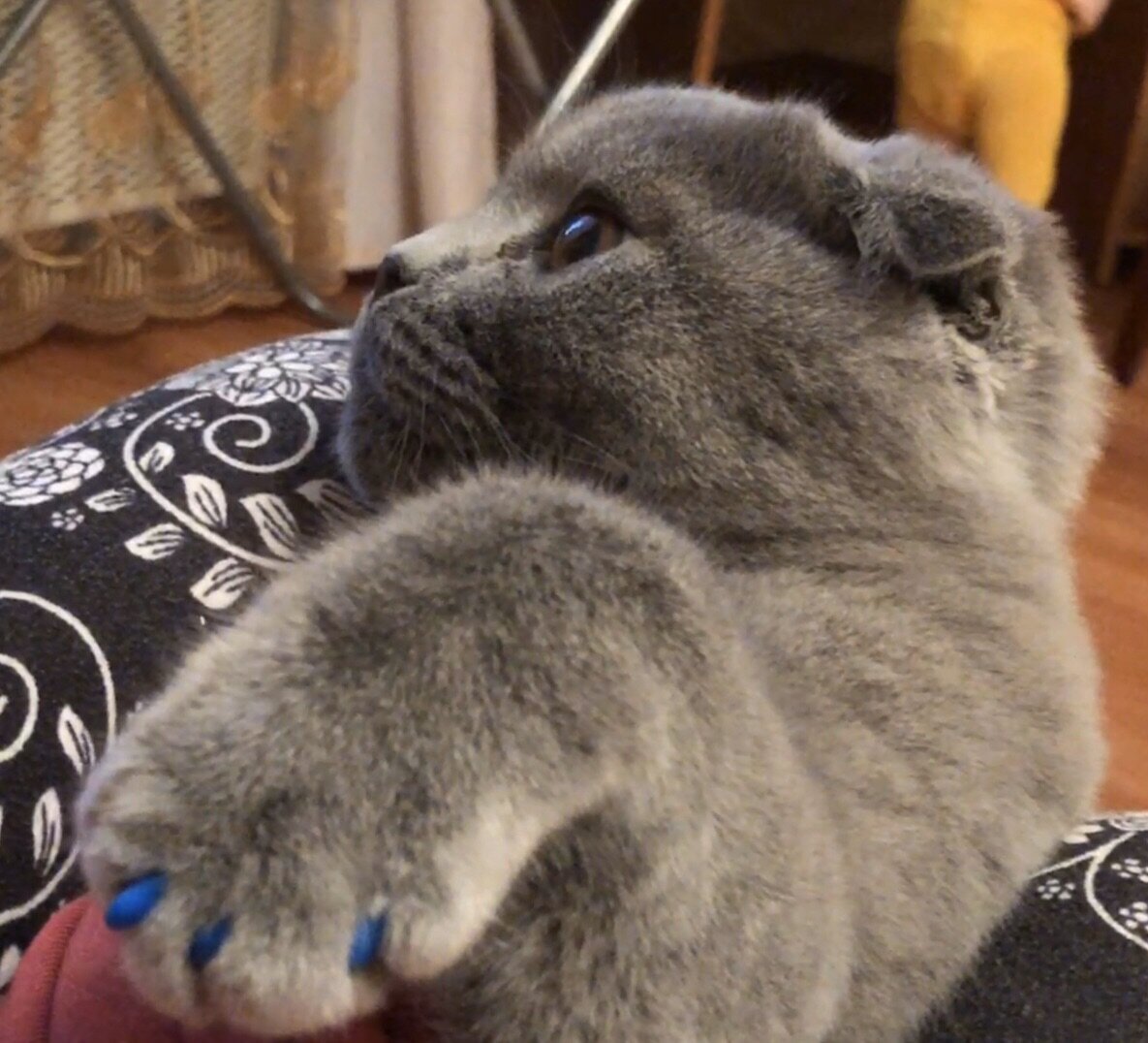 Вот так это выглядит по умолчанию, на фото, к слову, процесс. И вот процесс я сильно не люблю.