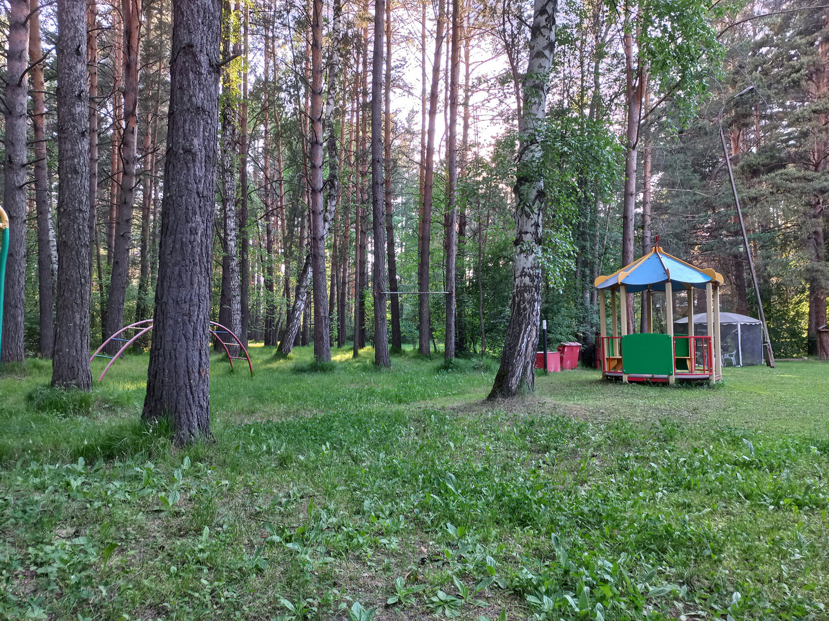 Седова Заимка: отдых, впечатления | Свет Водолея | Дзен