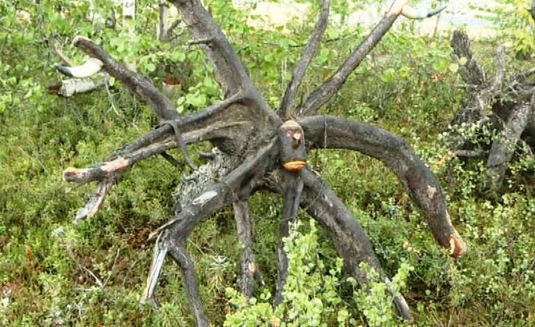 Корнепластика. Автор: Михаил Канев (г. Салехард)