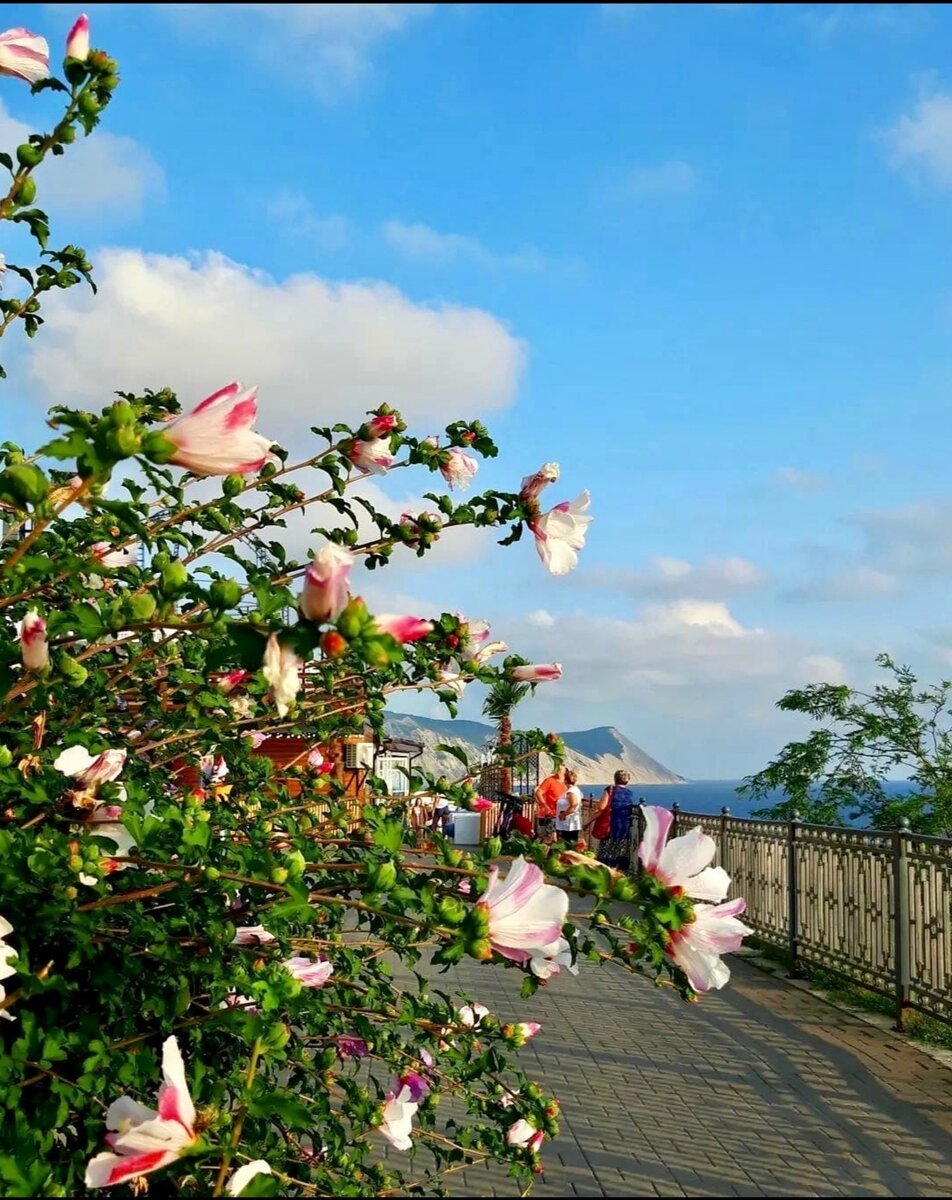 Незабываемые пейзажи