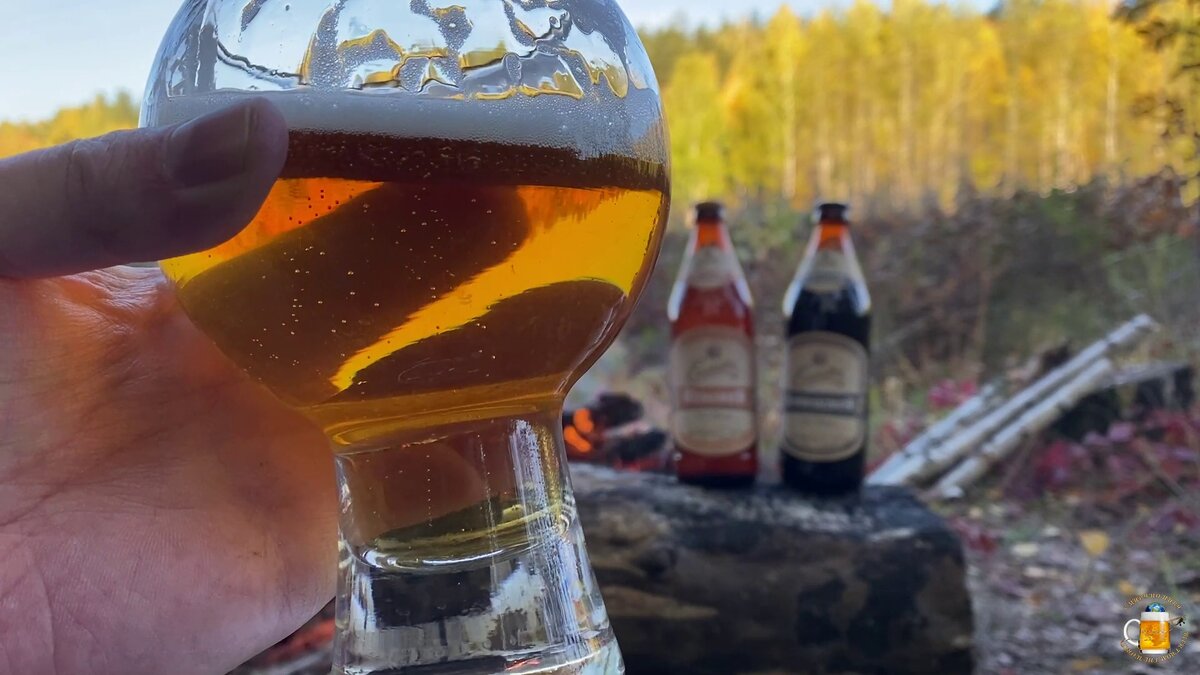 Обзор"Einsiedler Pilsner"