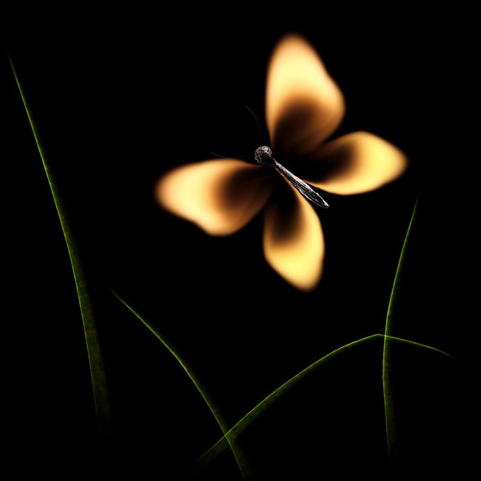 Фото из интернета. Свободный доступ