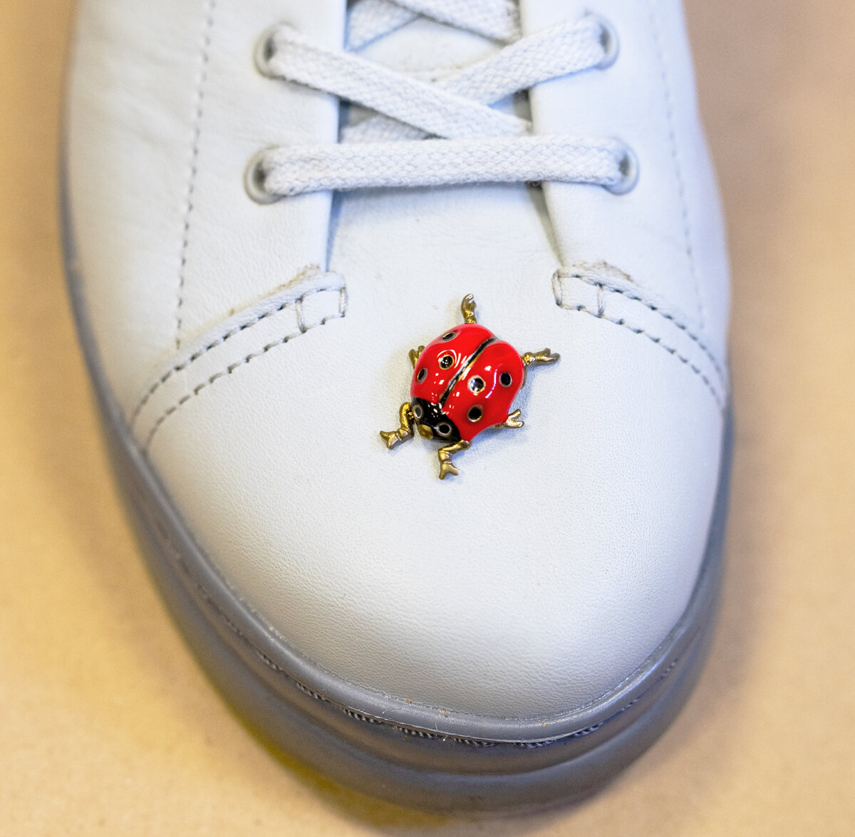 Эта милая божья коровка стала моим талисманом и родоначальником коллекции насекомых