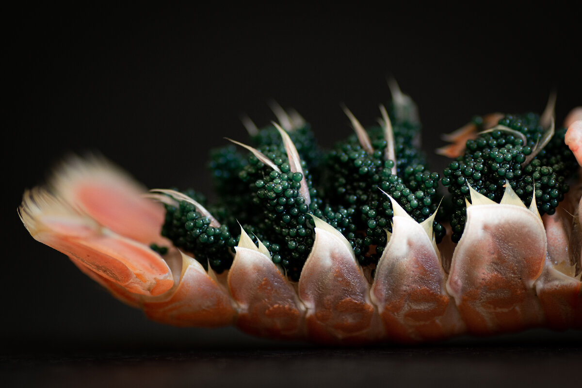 Фото blackieshoot на Unsplash