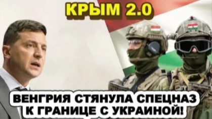 Статья грузится подождите... 