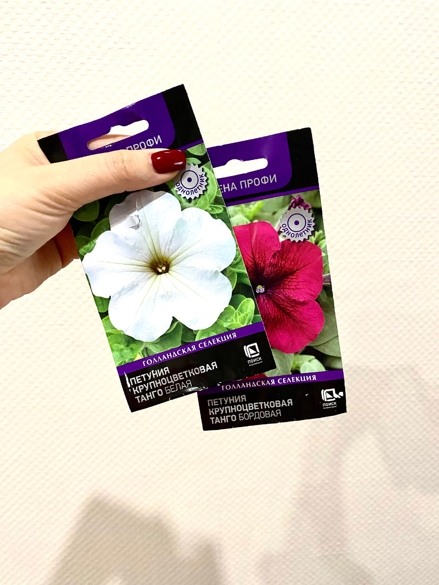 Из серии "Танго" сажала в прошлом году синюю, понравилась. Устойчивая к не погоде, и аромат шикарный.она на следующем слайде.