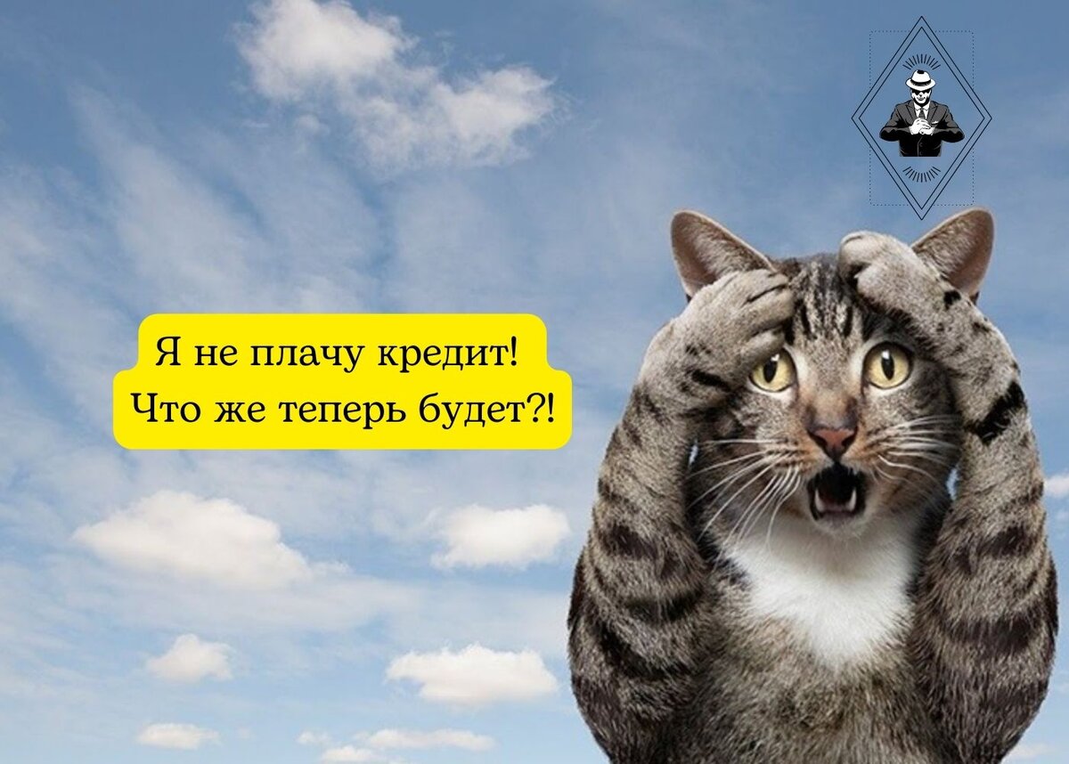 Изображение из открытого источника