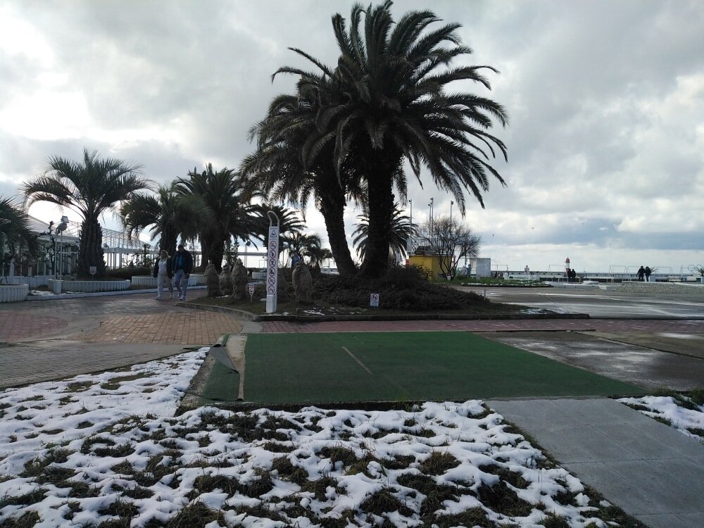 Зимний Сочи. Фото автора