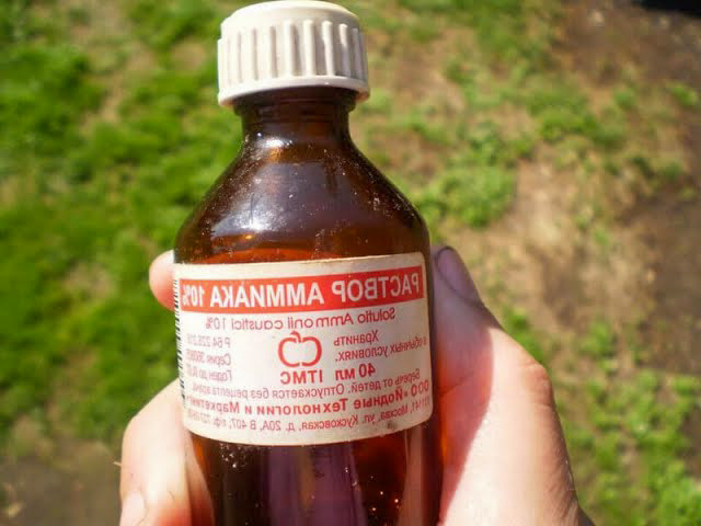 Они добавляют самый обычный нашатырный спирт.