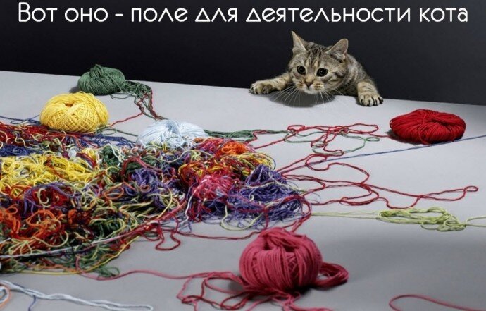 Фото из интернета