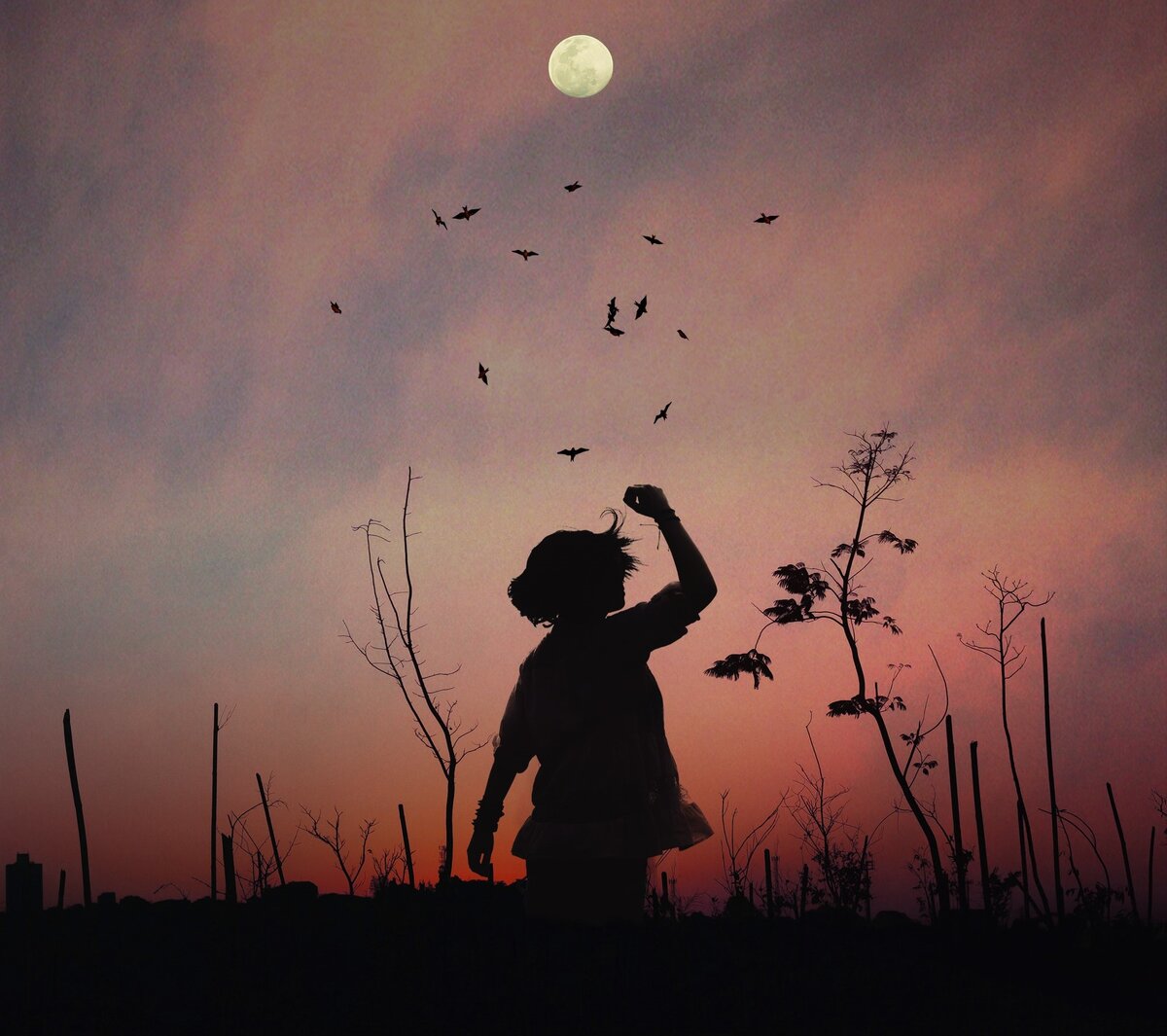 Фото автора luizclas: Pexels