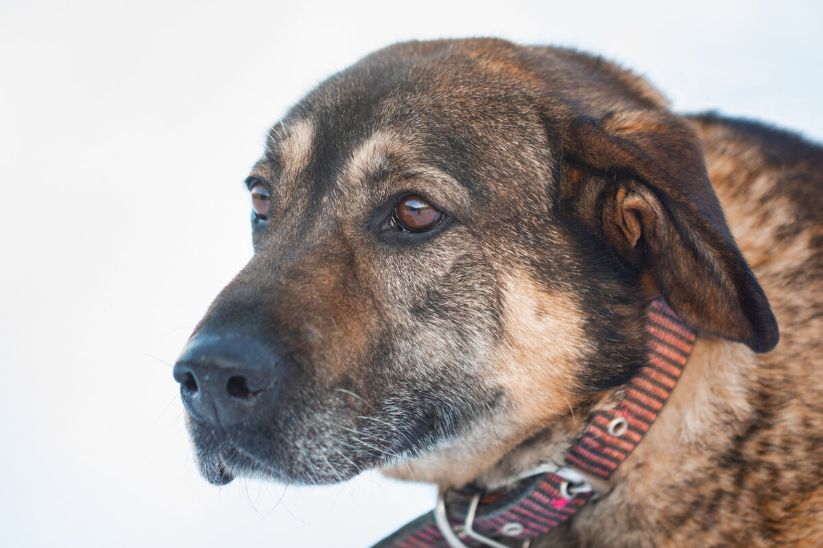 Там, где мы, нет солнца.