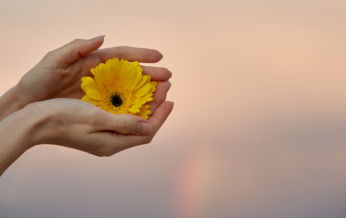 Советы и гайд по полезным сервисам, которыми вы можете пользоваться сами и делиться с близкими!