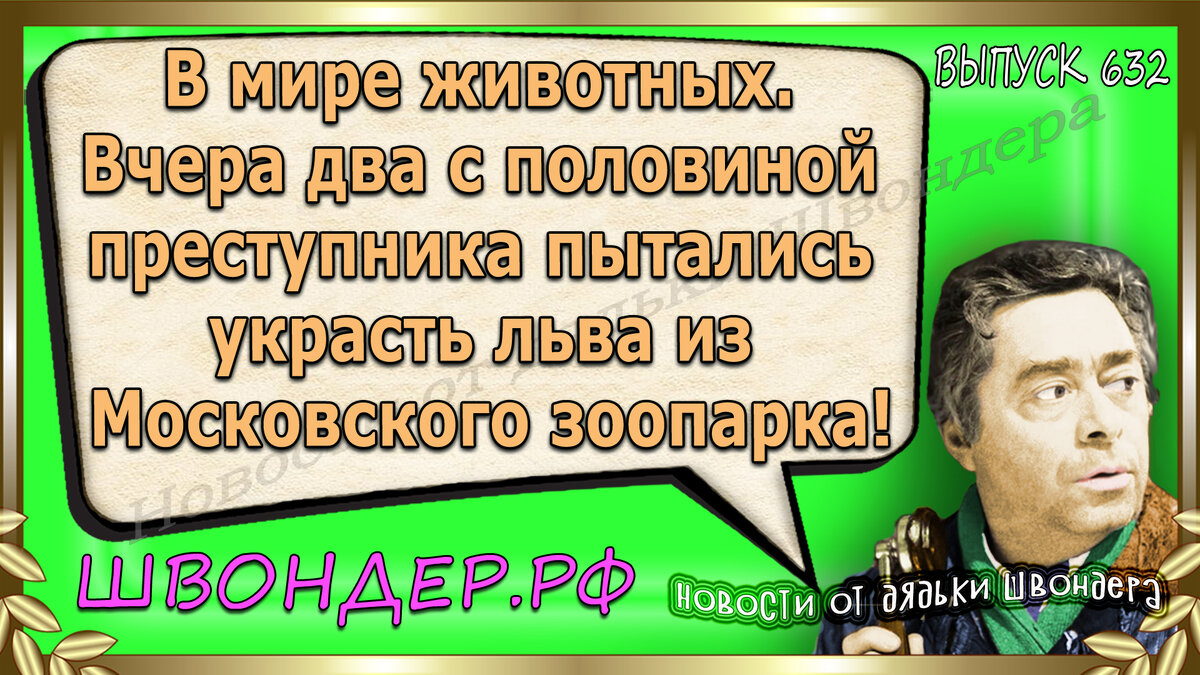 Картинка с сайта швондер.рф