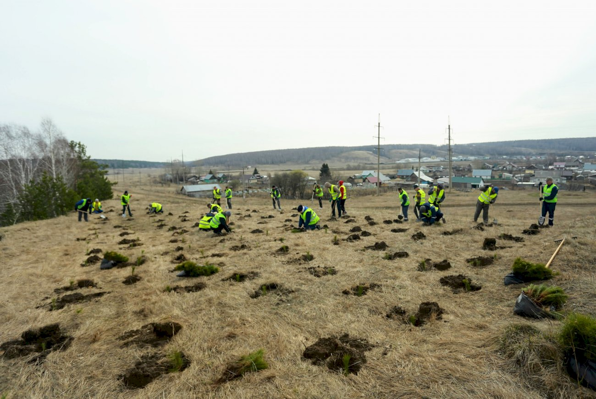 Лесхоз Косиха. Сели в природе. Косиха природа панорама. Село Косиха. Рп5 косиха