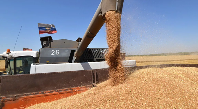Россия до 31 августа остановила экспорт пшеницы. Кроме нее под запрет могут попасть ячмень, рожь, сахар, подсолнечник, кукуруза, соя (фото из открытых источников) 