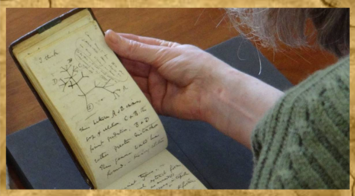 Блокнот с записями Ч. Дарвина.