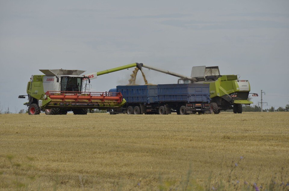     Средняя урожайность в этом году составила 42,2 ц/га Алексей ФОКИН