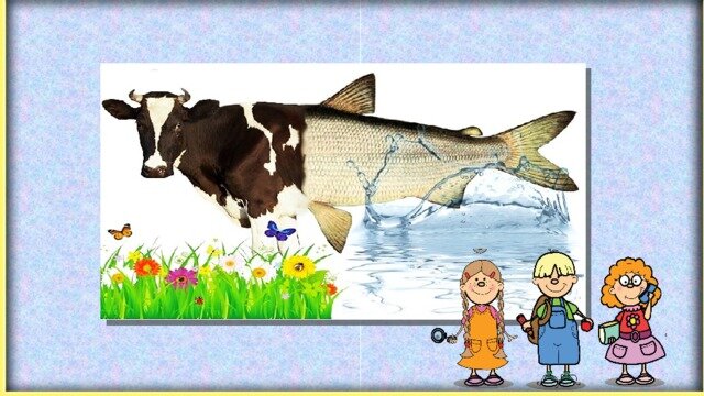 Ни рыба ни мясо рисунок