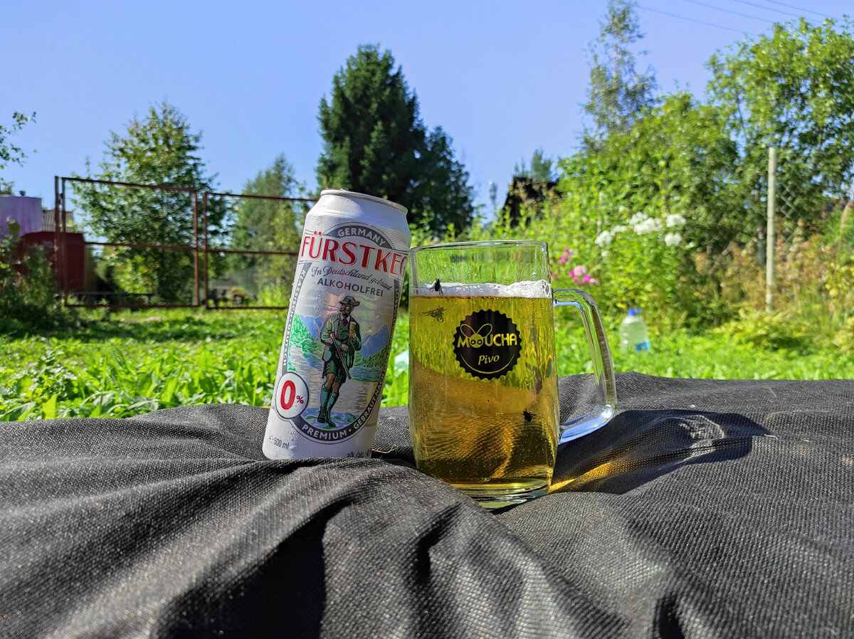 Fürstkeg Alkoholfrei в кружке Moucha. И да, мухи на стекле ненастоящие)